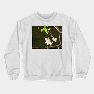 Cherry Blossoms Crewneck Sweatshirt